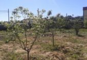 Urban land for sale in Ruanes ref: TR11891 photo