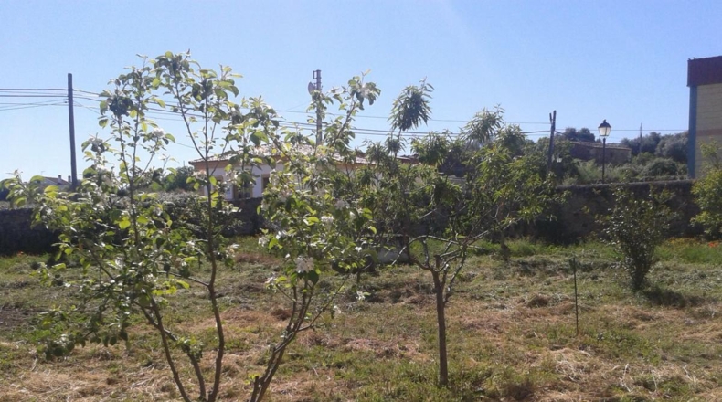 Cáceres - Ruanes - 1400m2