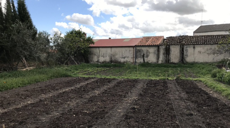 Cáceres - Trujillo - 1145m2