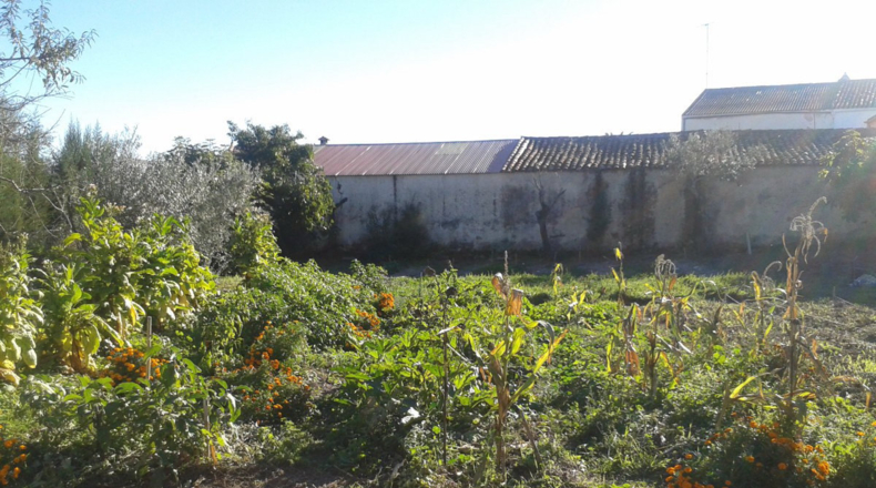 Cáceres - Trujillo - 1145m2