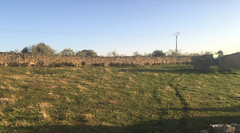 Cáceres - Trujillo - 5400m2