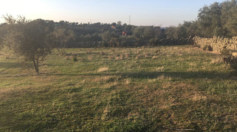 Cáceres - Trujillo - 5400m2