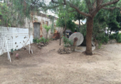 Villa with land for sale in Herguijuela ref: TR32788 photo