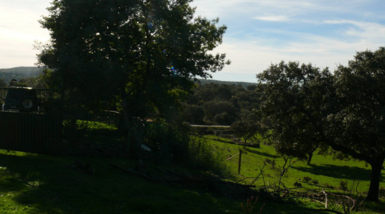 Cáceres - Madroñera - 40000m2