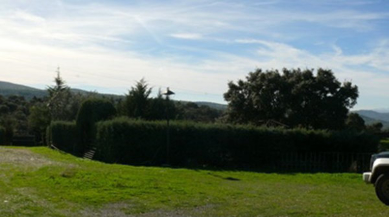 Cáceres - Madroñera - 40000m2