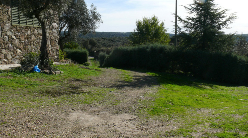 Cáceres - Madroñera - 40000m2