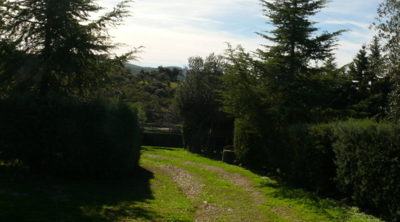 Cáceres - Madroñera - 40000m2