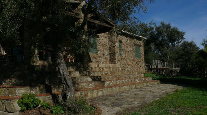Cáceres - Madroñera - 40000m2