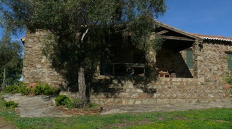 Cáceres - Madroñera - 40000m2