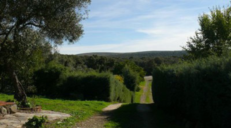 Cáceres - Madroñera - 40000m2