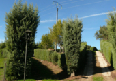 Terreny no urbanitzable en venda a Madroñera ref.: TR11894 foto