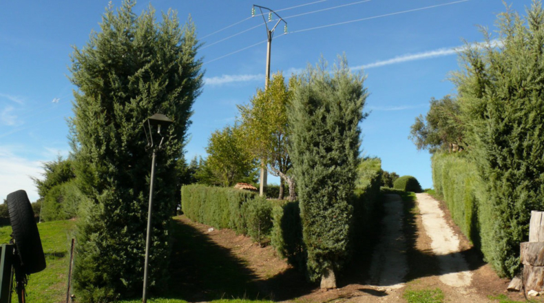 Cáceres - Madroñera - 40000m2
