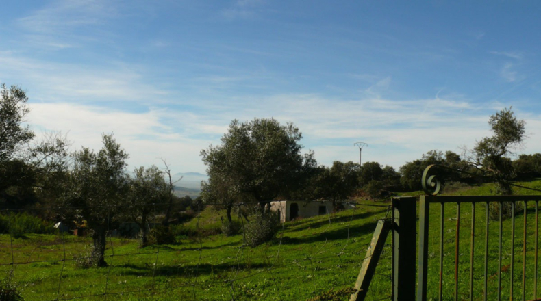 Cáceres - Madroñera - 40000m2