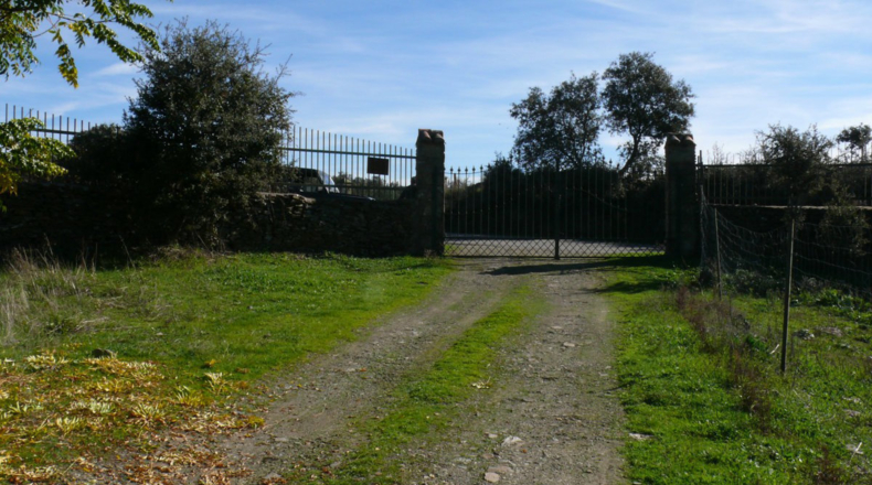 Cáceres - Madroñera - 40000m2