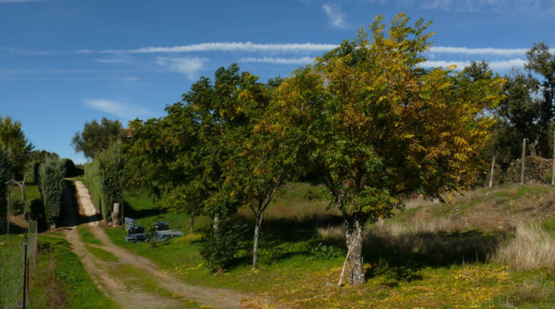 Cáceres - Madroñera - 40000m2