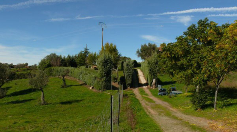 Cáceres - Madroñera - 40000m2