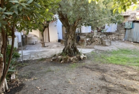 Foto 16