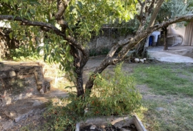 Foto 17