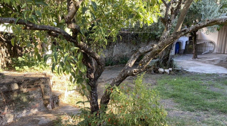 Cáceres - Trujillo - 299m2