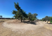 Casa de camp amb terreny en venda a Trujillo ref.: TR12689 foto
