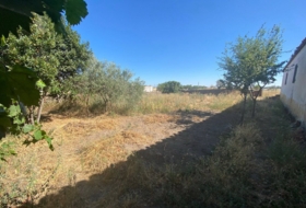 Trujillo 5767&nbsp;m² 