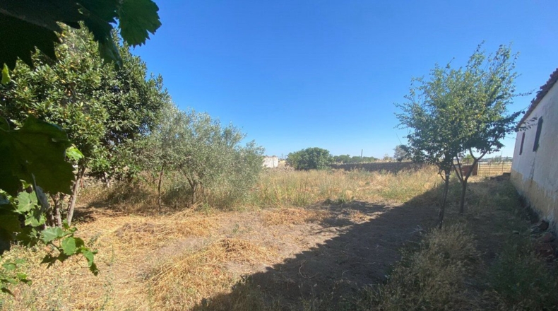 Cáceres - Trujillo - 5767m2