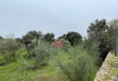Terreno no urbanizable en venta en Trujillo ref: TR67362 foto
