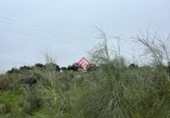 Terreno no urbanizable en venta en Trujillo ref: TR67362 foto
