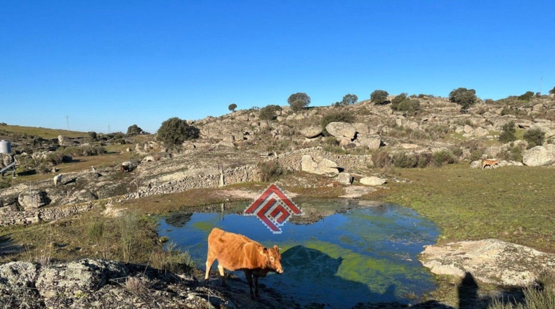 Cáceres - Trujillo - 211144m2