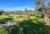 Land suitable for development for sale in Trujillo ref: TR74028 photo