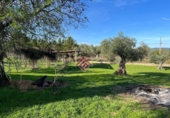 Land suitable for development for sale in Trujillo ref: TR74028 photo