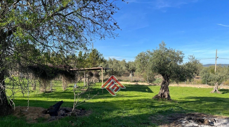 Cáceres - Pago de San Clemente - 1150m2