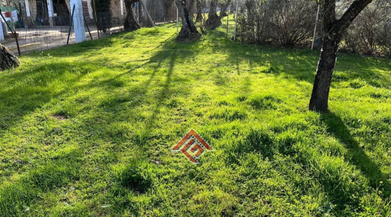 Cáceres - Pago de San Clemente - 1150m2