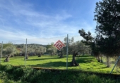 Land suitable for development for sale in Trujillo ref: TR74028 photo