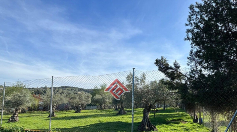 Cáceres - Pago de San Clemente - 1150m2