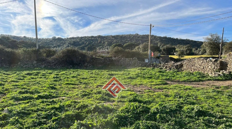 Cáceres - Trujillo - 7705m2
