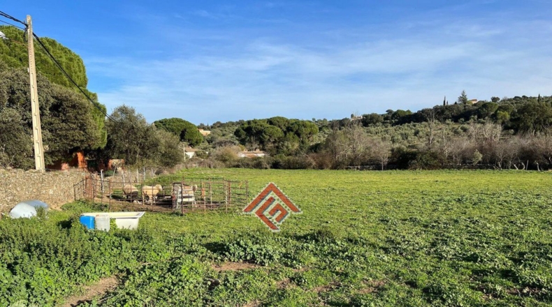 Cáceres - Trujillo - 7705m2