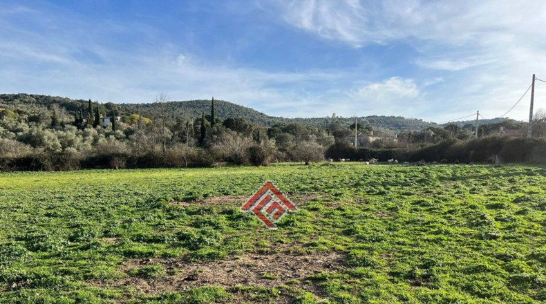 Cáceres - Trujillo - 7705m2