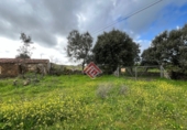 Casa de camp amb terreny en venda a Trujillo ref.: TR103701 foto