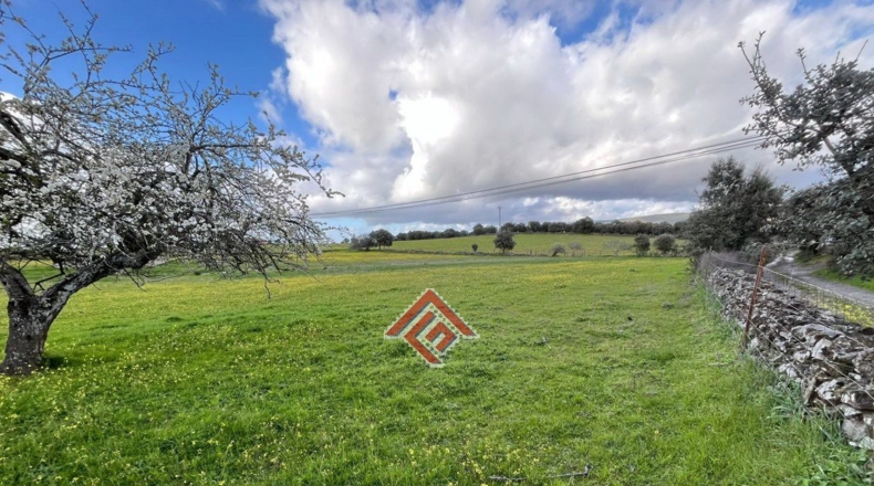 Cáceres - Pago de San Clemente - 89m2