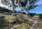 Non-developable land for sale in Trujillo ref: TR107586 photo
