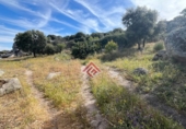 Non-developable land for sale in Trujillo ref: TR107586 photo
