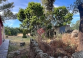 Non-developable land for sale in Trujillo ref: TR107586 photo