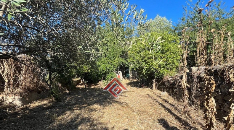 Cáceres - Trujillo - 361m2