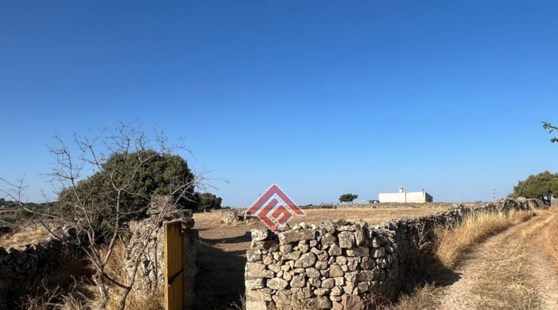 Cáceres - Trujillo - 4300m2