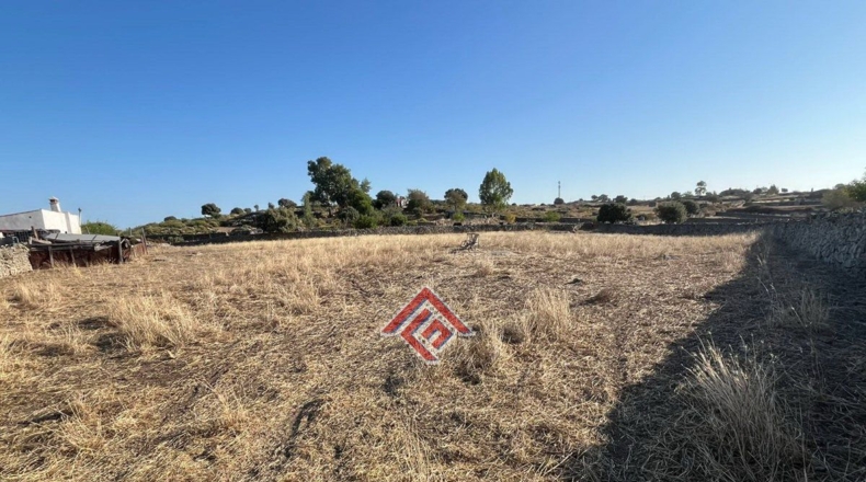 Cáceres - Trujillo - 4300m2