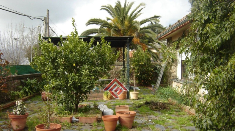 Caceres - Trujillo - 719m2