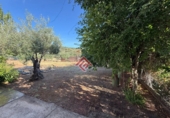 Detached villa with land for sale in Trujillo ref: TR305161 photo