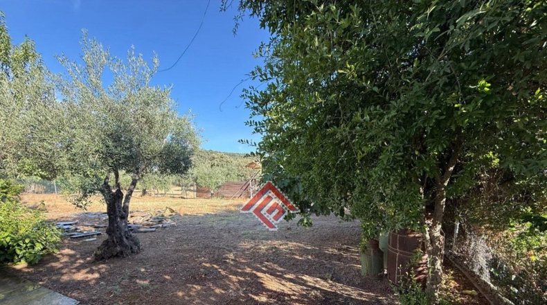 Cáceres - Pago de San Clemente - 1035m2