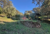 Non-developable land for sale in Trujillo ref: TR360658 photo